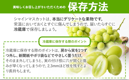シャインマスカット 約700g以上 1房 黒川農園《10月上旬-11月中旬頃出荷》 ぶどう 送料無料 岡山県 浅口市 ぶどう フルーツ 果物 くだもの【配送不可地域あり】