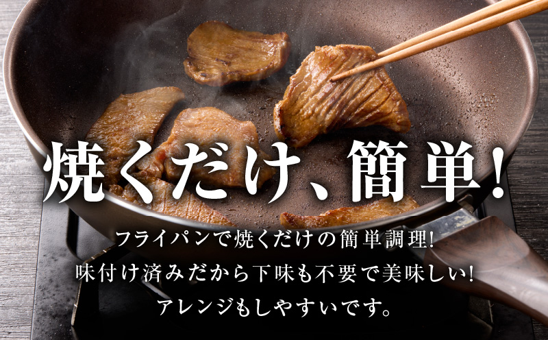 厚切り牛タン 900g 秘伝の味噌だれ【300g×3P 牛肉 牛タン 牛たん 厚切り牛タン 焼肉 BBQ キャンプ アウトドア 焼くだけ 訳あり サイズ不揃い 小分け】 015B396