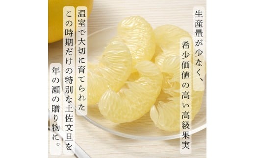 【先行予約】厳選 温室土佐文旦  大玉 2玉 〈贈答用木箱入り〉約600g×2個〈2026年12月上旬から発送〉 /ぶんたん ブンタン フルーツ 柑橘 みかん 果物 くだもの 土佐文旦の藤岡 旬 プレゼント ギフト 贈答 贈り物【土佐文旦の藤岡】 [BQBJ003]