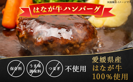 ＜熟成肉 はなが牛ハンバーグ 6個（1個150g）2回定期便＞ 肉 お肉 牛肉 牛 ビーフ 牛100％ 肉加工品 お惣菜 洋食 おかず 弁当 ランチ ディナー 国産 小分け 個包装 簡単調理 特産品 