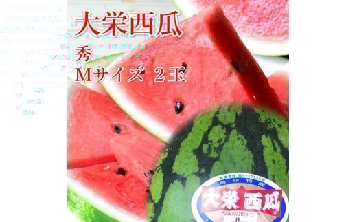997.【ふるさと納税】大栄西瓜 M ２玉※6月中旬～7月中旬頃に順次発送予定【西瓜 スイカ 果物 フルーツ くだもの 鳥取県 北栄町 おすすめ 人気 送料無料】