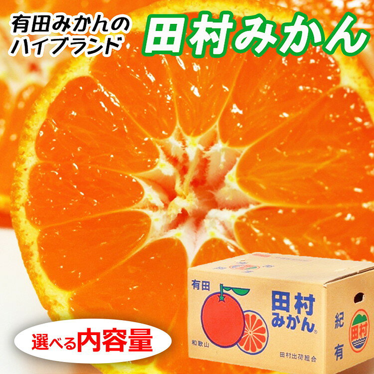 【ふるさと納税】＼選べる内容量・発送時期／【先行予約】【秀品】田村みかん 和歌山有田 約5kg・約10kg