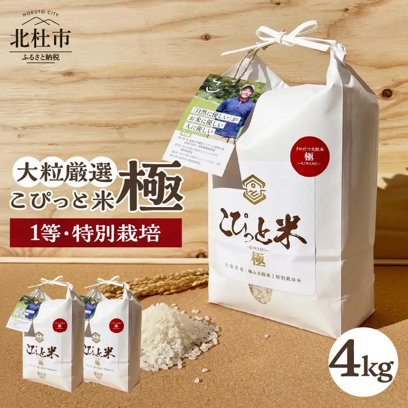 【先行予約】【令和8年度新米】こぴっと米【極】4kg 大粒厳選・1等特別栽培米 100％ [h020]