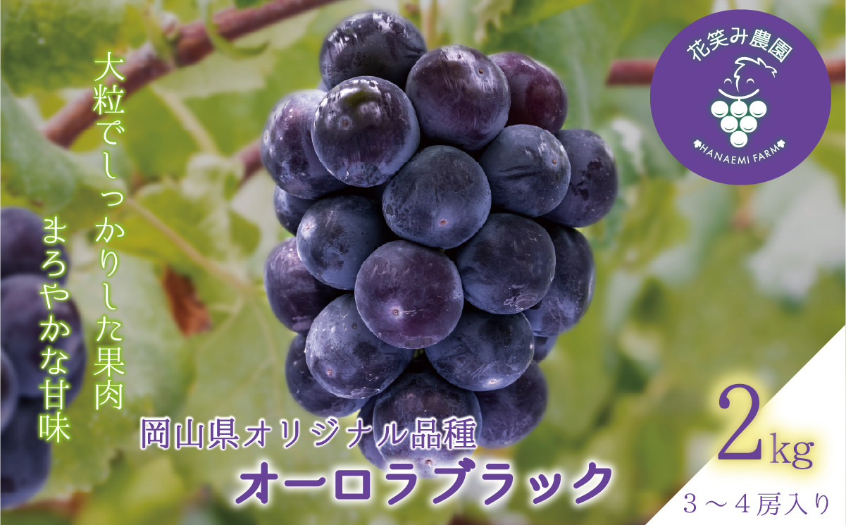 
            hana39.岡山　花笑み農園の『オーロラブラック』２kg（3～4房）
          