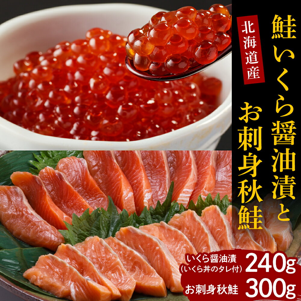 【ふるさと納税】【2025年10月以降発送】 鮭いくら 醤油漬 240g 秋鮭 刺身 300g セット / 先行予約 いくら イクラ 鮭イクラ 鮭 さけ しゃけ サーモン セット 海鮮セット 詰め合わせ 海鮮丼 親子丼 国産 北海道産 魚介 海鮮 海産物 人気 送料無料 北海道 えりも町