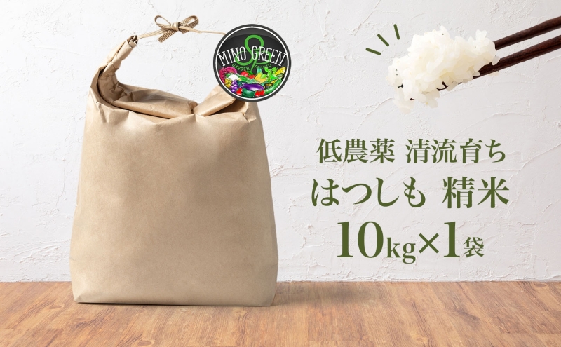 ＜先行予約＞令和7年産 はつしも 精米 10kg×1袋 低農薬 清流育ち 新米 お米 白米 米 ごはん ご飯 ハツシモ R7年産 ブランド米 産地直送 送料無料 美濃グリーン 岐阜県 美濃市 ■202