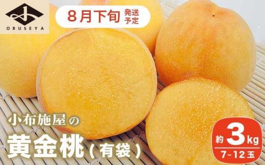 黄金桃（有袋） 約3kg 7～12玉 ［小布施屋］ 桃 もも モモ フルーツ 果物 令和7年産 【2025年8月下旬発送】 ［A-214］