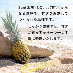 【先行予約】石垣島産 中玉サンドルチェ４玉 合計約3.8kg《2025年夏季 順次発送》【 沖縄 石垣 フルーツ パイナップル パイン サンドルチェ 産地直送 】SI-108