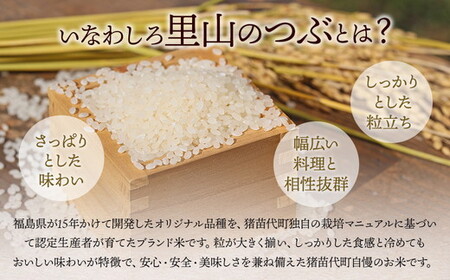 新米　猪苗代町ブランド米 いなわしろ里山のつぶ( 精米 ) 10kg お米 白米 福島 和食