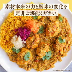 パキスタンチキンカレー_久留米 さざなみどり パキスタン チキンカレー 180g × 5パック FLAVORオリジナル ガラムマサラ カレー カレーライス 時短 レトルト 食品 加工品 肉加工品 惣菜