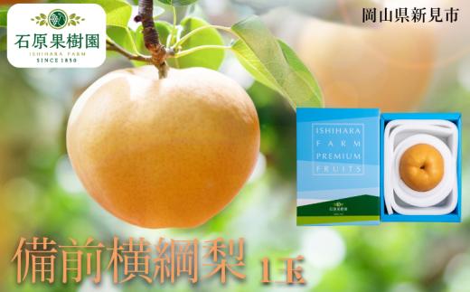 備前横綱梨 (あたご梨) 1玉 約1～1.4kg 【先行予約 2025年11月中旬から順次発送】