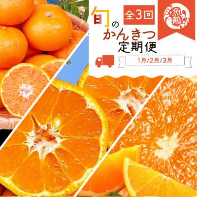 ふるさと納税 紀美野町 【発送月固定定期便】紀州和歌山産旬の柑橘セット(みかん・ポンカン・清見)全3回