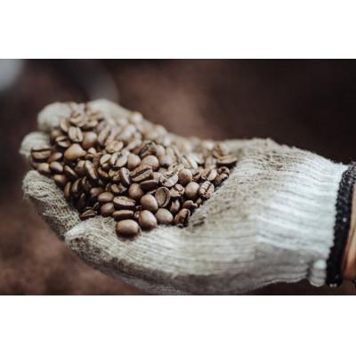 ふるさと納税 守口市 ゴールド珈琲のアイスコーヒーセット(豆)2kg |  | 02