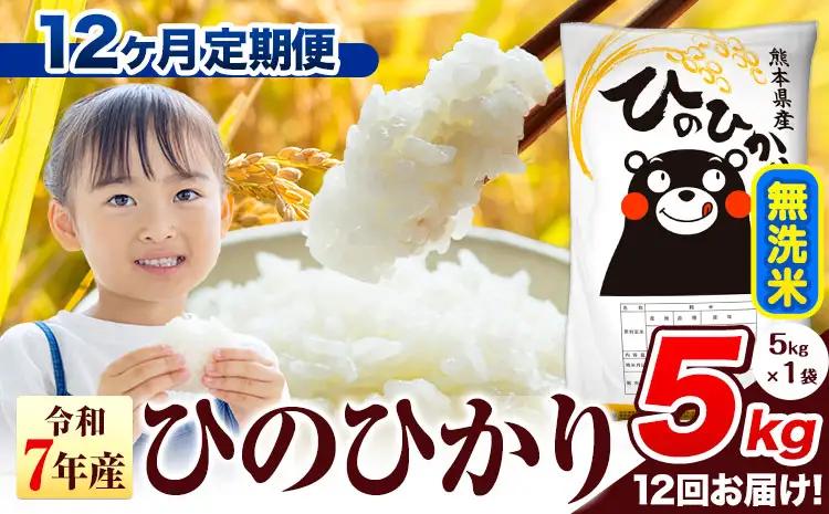 12ヶ月定期便 R7年産 無洗米 ひのひかり 5kg