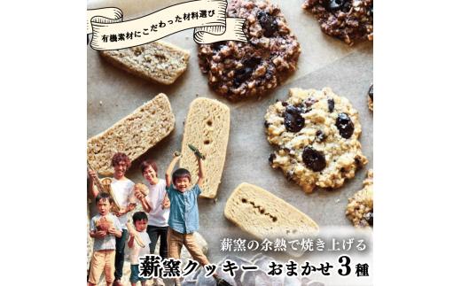 【こだわり有機素材を使用】 薪窯の余熱で焼き上げる 薪窯 クッキー おまかせ 3種 ～食べられない食材がある方にもおすすめ、滋味いっぱいのおやつ～ 有機 オートミール 北海道産有機小麦粉  太白 ごま油 カカオ 全粒粉 小麦 レーズン クルミ カシューナッツ 詰め合わせ オーガニック 手作り 朝ごはん おやつ 徳島県 吉野川市