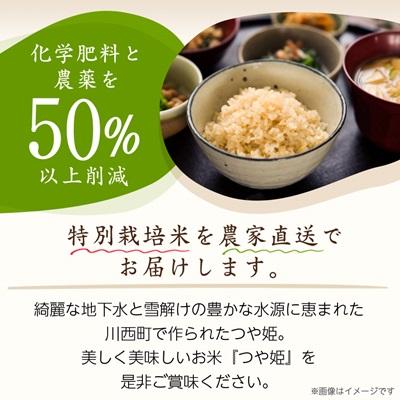 ふるさと納税 川西町 令和7年産　山形県産　つや姫　玄米　10kg |  | 01