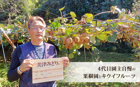 キウイフルーツ 美津みどり スイーツキウイ 産地直送 キウイフルーツ