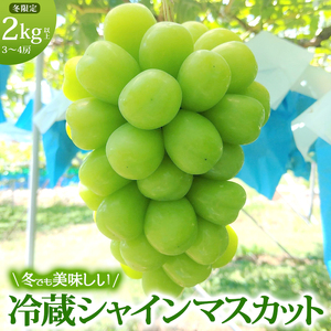 シャインマスカット 富山葡萄園 冷蔵 長野県産 シャインマスカット【2kg以上 3〜4房】【冷蔵】