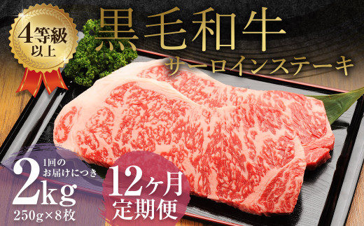 【12ヶ月定期便】 くまもと 黒毛和牛 サーロインステーキ 2.0kg（250g×8枚） 牛肉 牛 肉
