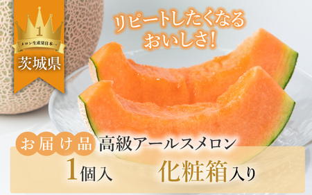 茨城県産アールスメロン「赤」【秀品】1個【2025年9月上旬～10月上旬ごろ発送予定】【 メロン茨城県産 メロン人気 メロン下妻 メロン果物 メロンフルーツ 人気メロン おすすめメロン 贈り物 プレゼ