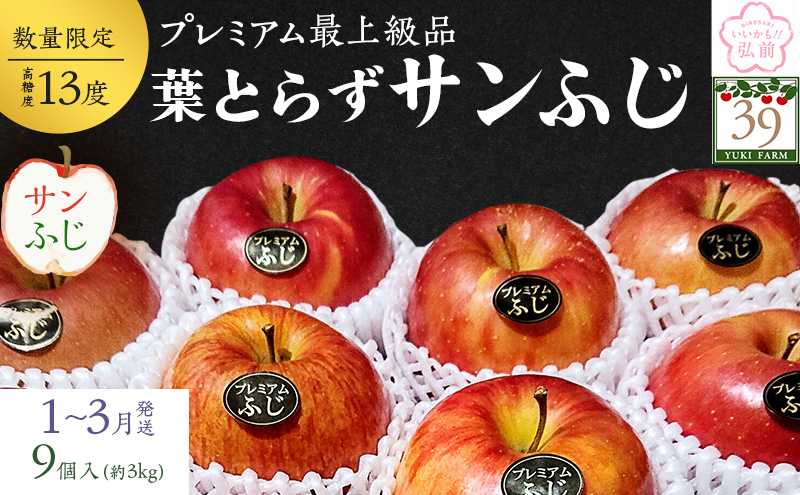 
りんご 【 数量限定 】1～3月発送 糖度13度以上 「特選」プレミアム 葉とらずサンふじ 約 3kg 9個入り【 弘前市産 青森りんご 】
