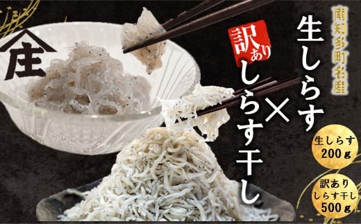 生しらす 200g 訳ありしらす干し 500g セット 冷凍 刺身 真空パック しらす干し 炒飯 パスタ ごはん 丼 サラダ 魚 料理 愛知県 南知多町 師崎 シラス しらす 小魚 魚貝 魚貝類 しらす シラス 海鮮 しらす丼 シラス丼 ふるさと納税しらすしらす おすすめ 大人気 南知多産しらす愛知県産しらす 