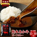 【ふるさと納税】熊本県産あか牛使用 くまもとあか牛 ビーフカレー 【選べる容量 15人前 もしくは 30人前】 1袋 160g カレー レトルトカレー ビーフカレー あか牛カレー あか牛 あかうし 赤牛 惣菜 レトルト 簡単調理 時短 備蓄 常備 長期保存 送料無料