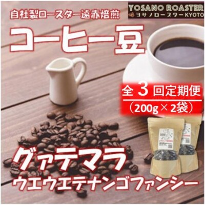 【毎月定期便】コーヒー豆　グァテマラ ウエウエテナンゴファンシー　200g×2　遠赤外線焙煎全3回【配送不可地域：離島】【4063190】