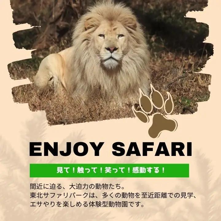 東北サファリパーク入園チケット 大人2名＋小人2名（ 入園チケット＋草食動物のエサ）【株式会社東北サファリパーク】
