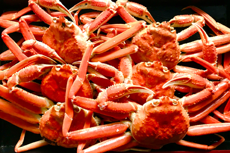 訳あり 紅ずわいがに（5枚～10枚）3kg【ズワイガニ ずわいがに 紅ズワイガニ 紅ずわい カニ かに 蒸しガニ 訳あり 早期受付 季節限定 カニしゃぶ 冷蔵配送 お祝い お歳暮 お年賀 プレゼント ゆで蟹 焼きがに ギフト お取り寄せ 山陰 鳥取県 境港産】