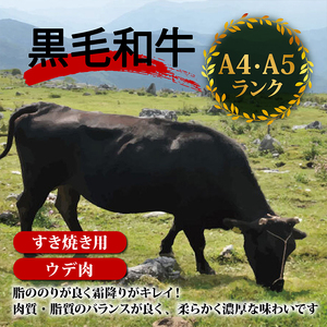 土佐 黒毛 和牛 すき焼き用 1.2kg （ 400g × 3パック ） | 特撰 ウデ肉 肩肉 最上位等級 A4 A5 最高ランク 贅沢 すきやき スキヤキ用 鍋 焼肉用 小分け 冷凍 国産 牛肉 