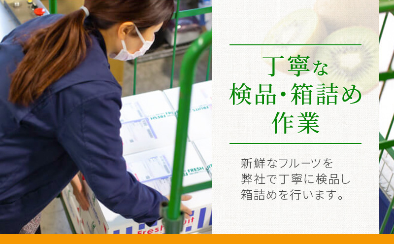 JA遠州中央 きらぴ香 いちご 4パック 260g×4 遠中 静岡県 静岡 袋井市 袋井 イチゴ 苺 贈答 フルーツ 果物 くだもの 人気
