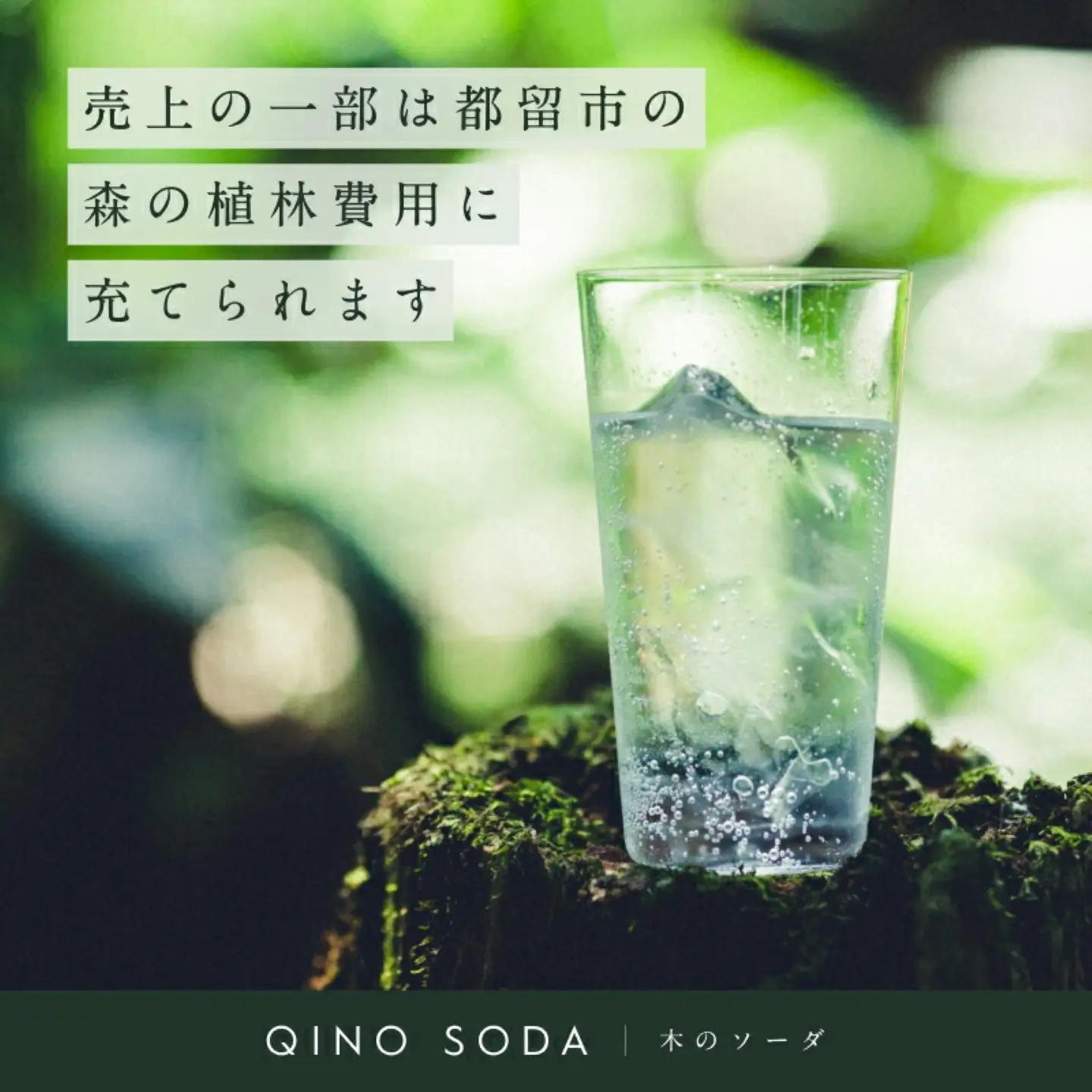 QINO SODA 杉 - 富士山麓 -　炭酸　炭酸水　杉　ソーダ水　木のソーダ