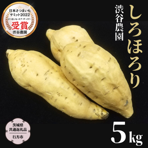 しろほろり 約5kg (茨城県共通返礼品／行方市) 2025年11月から発送開始 渋谷農園 さつまいも いも 芋 焼き芋 [DT011sa]