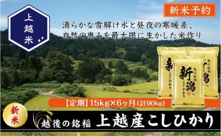 令和7年産 先行予約 新潟県上越産こしひかり 精米 15kg 6か月定期便 上越市 米 コメ コシヒカリ
