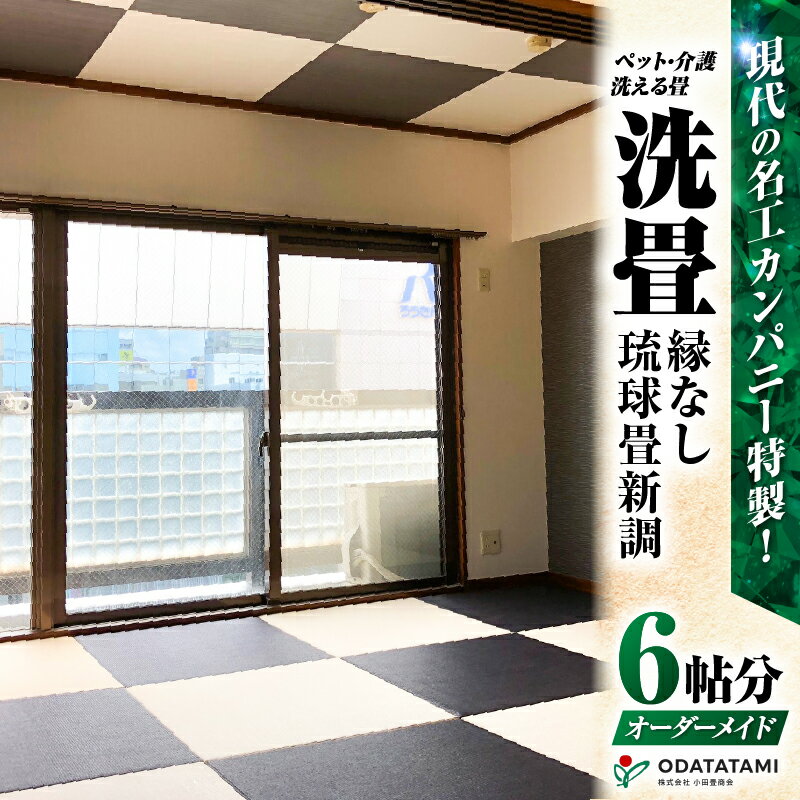 【ふるさと納税】 現代の名工カンパニー特製 ペット 介護 洗える畳 洗畳 縁無 琉球畳 新調 6帖サイズ 畳 半帖サイズ 12枚 たたみ 新築 リフォーム 洗える ベット畳 置き畳 ペット用 介護用 子供部屋 小田畳商会 鹿児島 鹿児島市 おすすめ ランキング プレゼント ギフト