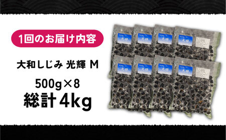 【全6回定期便】産地直送！宍道湖産 冷凍大和しじみMサイズ4kg(500g×8) 砂抜き処理済 島根県松江市/りすたむmatsue[ALDE014]