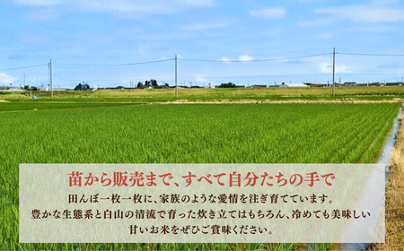 【先行予約】令和8年産  石川県産コシヒカリ 精米 10㎏(5㎏×2袋) お米 白米 こしひかり｜石川県 小松市 【坂下農産】