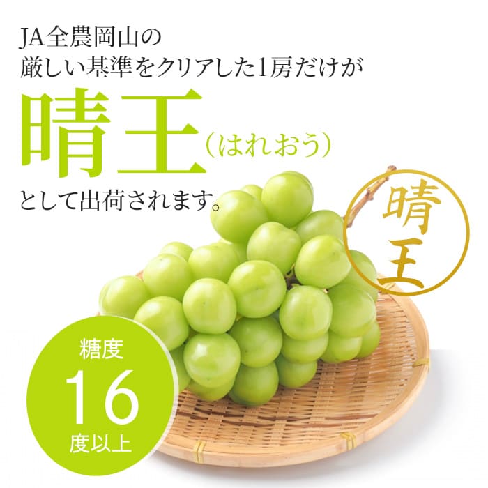 ぶどう 2024年 先行予約 シャイン マスカット 晴王 2房入り 合計約1kg 大粒 種無し ブドウ 葡萄  岡山県産 国産 フルーツ 果物 ギフト 橋田商店