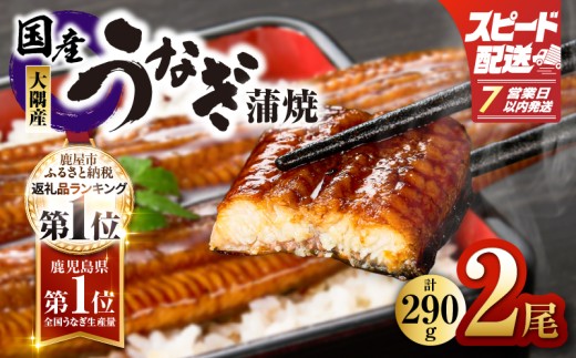 【7営業日以内に発送】鹿児島県大隅産うなぎ蒲焼2尾（290g）　KN110-001-YM