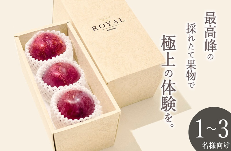 
            甲州市産 大玉貴陽 3個入り 約800g 自然農法【2026年発送】（BNC）B-488【貴陽 すもも 令和8年発送 期間限定 山梨県産 甲州市 フルーツ 果物】
          