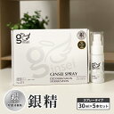 【ふるさと納税】銀イオン除菌消臭剤【銀精】スプレータイプ 30ml×5本セット 無香料 ノンアルコール　お届け：ご入金確認次第順次発送いたします。