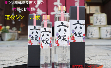 道後ジン 水口酒造 六媛 クラフトジン 道後ジン【500ml】