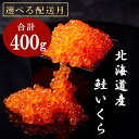 発送時期が選べる 新物 国産 いくら 500g 鮭卵 醤油漬け 北海道産 大容量 (250g × 2パック) 小分け パック イクラ 海鮮丼 ギフト 鮭いくら 年末 贈り物 魚介類 魚介 北海道 海産物 鮭 しゃけ 高評価★4.6 数量限定 羅臼町 生産者 支援 応援 F22M-001var