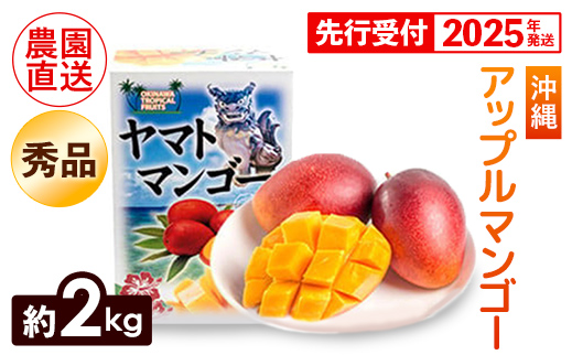 【化粧箱入】【先行受付・2025年発送】ヤマト農園 アップルマンゴー約2kg（秀品）- 先行予約 沖縄県産 産地直送 南国フルーツ 旬の味覚 季節の果物 贈り物 ギフト 沖縄県 八重瀬町