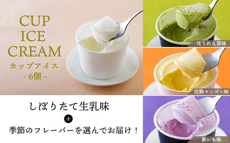 アイスクリームお楽しみBセット カップアイスとアイスサンド2種12個 　TF0725-P00023
