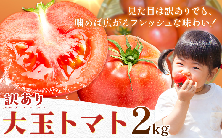 s613 《期間・数量限定》＜訳あり＞大玉トマト(約2kg) 鹿児島 国産 九州産 野菜 やさい 新鮮 とまと トマト 訳あり 規格外 ご家庭用 産地直送 サラダ 【吉祥庵園芸】