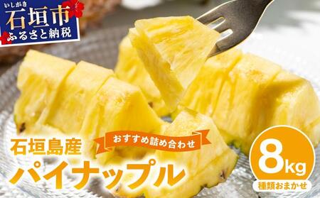 ＜期間限定 春フェア＞ 【訳あり】 石垣島産 パイナップル 詰め合わせ 約8kg (6～20個)《2026年4月下旬から発送》 | ふるさと納税 パイナップル 産地直送 フルーツ 果物 パイン 石垣 沖縄 沖縄県石垣市 石垣島 KP-16