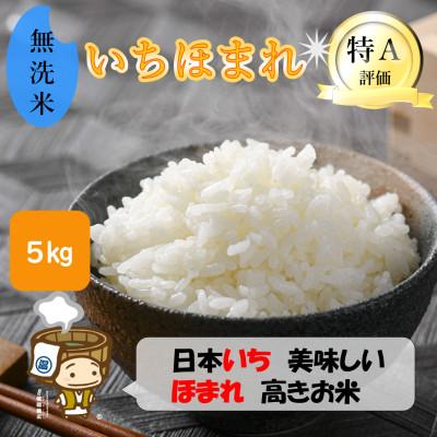 ふるさと納税 あわら市 【令和6年産】いちほまれ 無洗米 5kg×1袋《発送直前に精米!》
