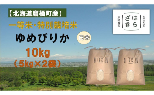 【令和7年産】一等米・特別栽培米 10kg【ゆめぴりか白米】5kg×2袋（農薬7割減）北海道 鷹栖町 原崎農園